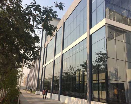 Cadila Healthcare Ltd SEZ